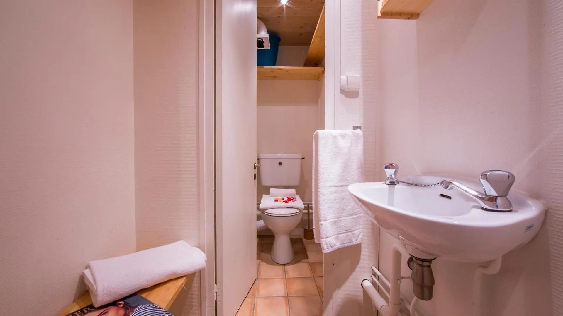 Apartment Residence Grand Roc - Ancolies 220 - Happy Rentals Chamonix France